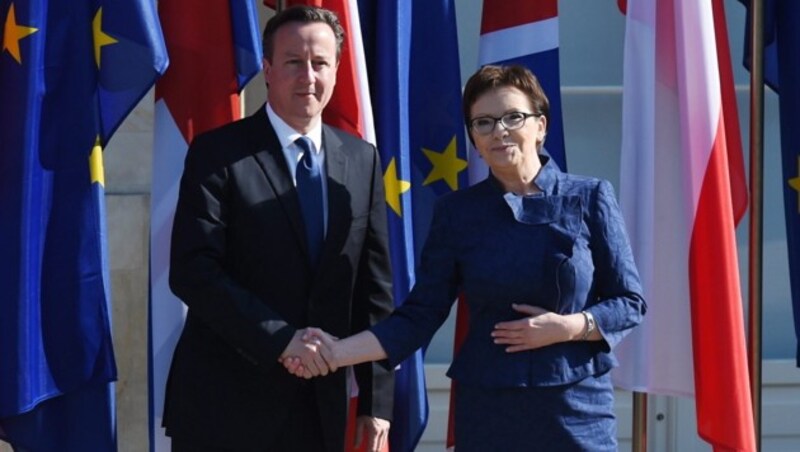 Der britische Premier David Cameron mit Polens Ministerpräsidentin Ewa Kopacz (Bild: APA/EPA/Radek Pietruszka)