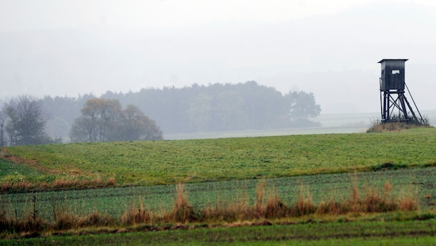 (Bild: APA/HELMUT FOHRINGER)