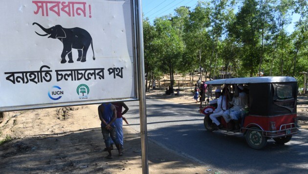Das provisorische Camp in Bangladesch (Bild: AFP)