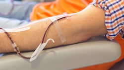 Die sexuelle Orientierung wird bei Blutspenden nun in Frankreich überhaupt nicht mehr erfasst. (Bild: stock.adobe.com)