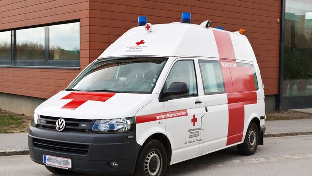 Der 53-Jährige starb noch an der Unfallstelle an seinen schweren Verletzungen. (Bild: Österreichisches Rotes Kreuz (ÖRK) / LV NÖ / Stefan Gahr)