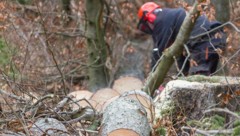 (Bild: stock.adobe.com)