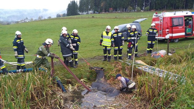 In Sonnstein wurde ein Pferd aus einem Teich gerettet. (Bild: Feuerwehr)