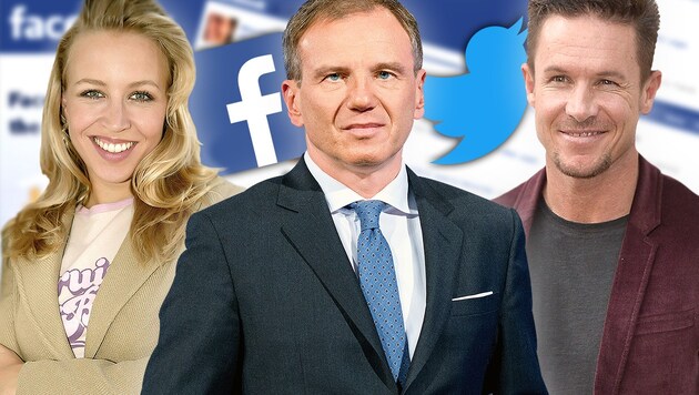 Nina Proll, Armin Wolf, Felix Baumgartner (Bild: APA, dpa, ORF, facebook.com, krone.at-Grafik)