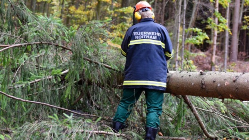 Im Bezirk Gmunden (OÖ) kämpft die Feuerwehr mit umgestürzten Bäumen. (Bild: APA/SPITZBART)