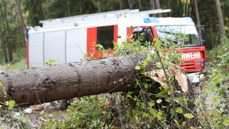 Umgestürzte Bäume blockieren im Salzkammergut viele Straßen. (Bild: APA/SPITZBART)