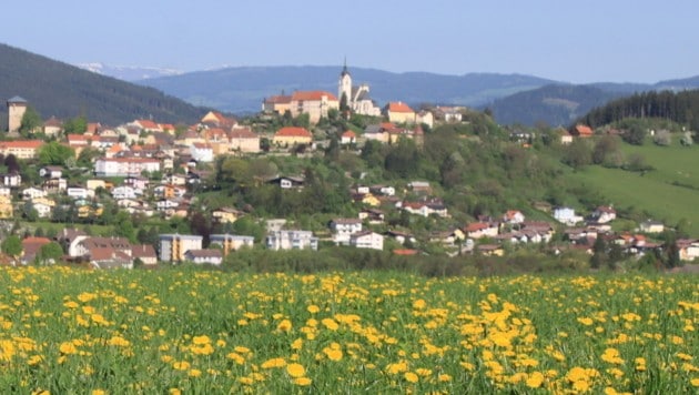 Treibach-Althofen im Bezirk St. Veit an der Glan (Bild: stock.adobe.com)