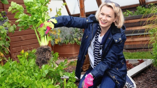 Böse Beleidigungen - Lorenz-Dittlbacher: "Man braucht eine ...