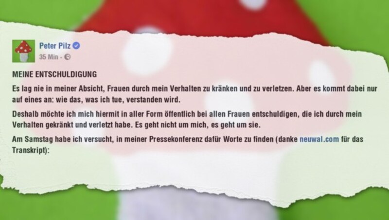 (Bild: facebook.com, krone.at-Grafik)