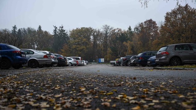 Autos mit Linzer Kennzeichen sind am Parkplatz beim Linzer Urnenhain eine Seltenheit. (Bild: Markus Wenzel)