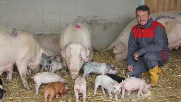 Martin Schickmaier ist der Vollblut-Bio-Bauer, der am Hof auch das Schweinefleisch veredelt. (Bild: Kronen Zeitung)