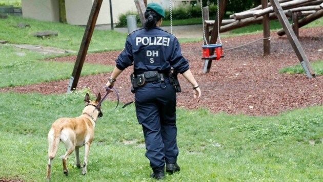 Auch mit Hunden wurde nach der Abgängigen gesucht (Bild: Markus Tschepp (Symbolbild))