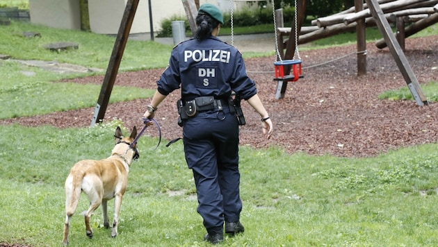 Auch mit Hunden wurde nach der Abgängigen gesucht (Bild: Markus Tschepp (Symbolbild))