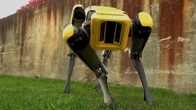 Der Hunderoboter "Spot" des US-Unternehmens Boston Dynamics (Bild: Boston Dynamics)