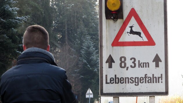 Der Unfall ereignte sich zwischen Kössen und Erpfendorf. Vor Wildwechsel wir gewarnt. (Bild: zoom.tirol)