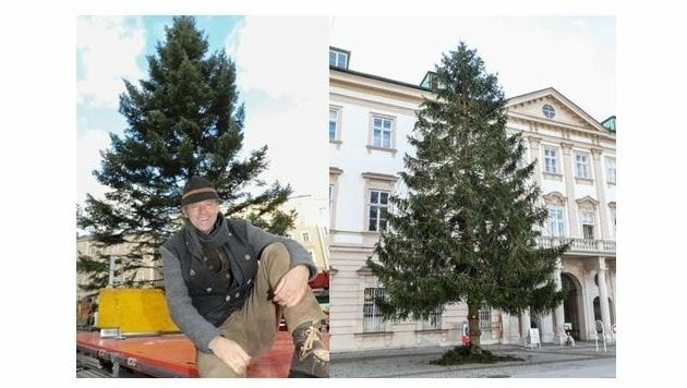Weihnachtsbaum vor dem Schloss Mirabell. Wolfgang Haider, Obmann des Salzburger Christkindlmarktes. (Bild: Franz Neumayr)