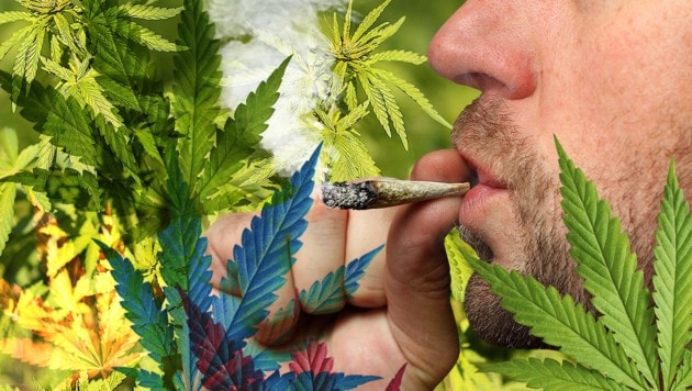 Konsumiert und gedealt wurde vor allem Marihuana. (Bild: thinkstockphotos.de)
