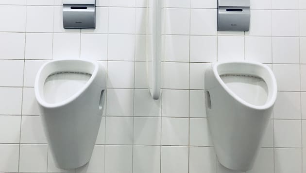 Die Kosten für ein öffentliches WC in Eisenstadt sorgen für Wirbel. (Bild: MR)