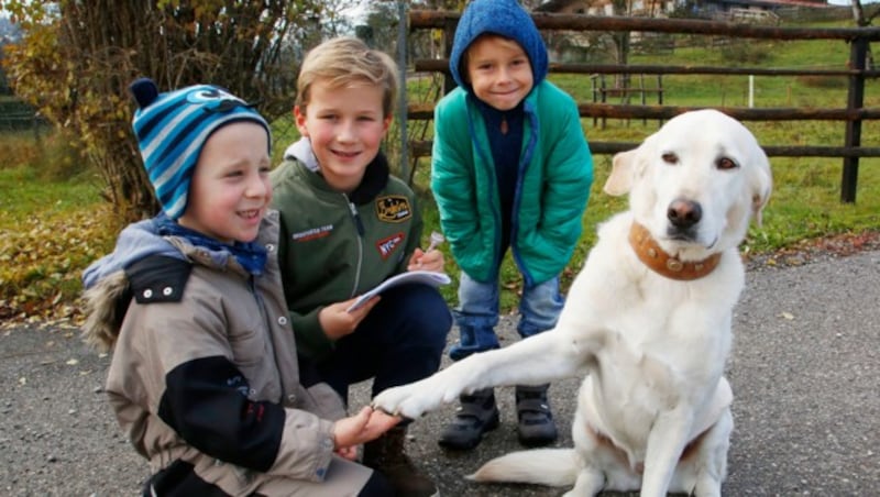 Redaktionshund "Daisy" war mit dabei! (Bild: Uta Rojsek-Wiedergut)