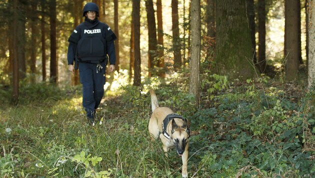 Auch ein Spürhund der Polizei war an der Suche beteiligt (Symbolbild). (Bild: APA/ERWIN SCHERIAU)