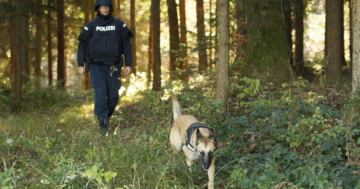 Große Suchaktion - Vermisster Wanderer Nach Stunden Im Wald Gefunden ...