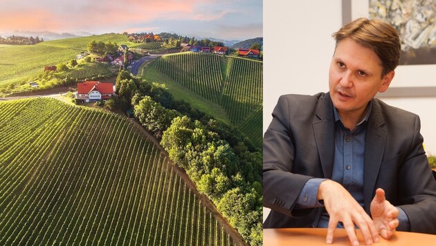 Wer über die Südsteiermark spricht, denkt an Wein. So ein Bild fehlt Oberösterreich, so Winkelhofer. (Bild: ViennaPress/Tischler, FOTO LUI)