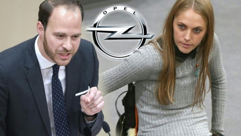 NEOS-Abgeordneter Nikolaus Scherak, Kira Grünberg (Bild: APA/GEORG HOCHMUTH, krone.at-Grafik)