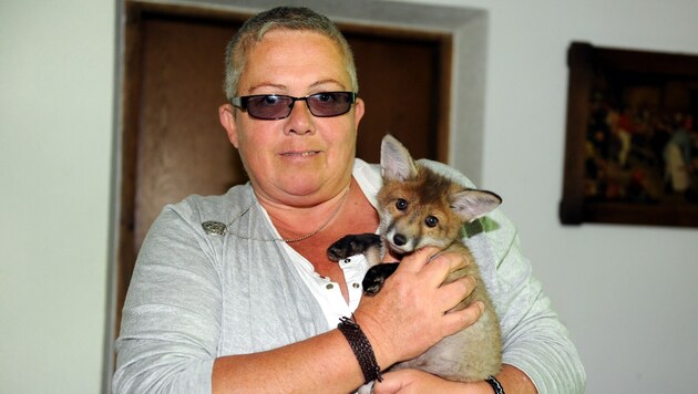 Gabi Kaar mit der neun Wochen alten Fuchswaisen "Cleo". (Bild: Klemens Fellner)
