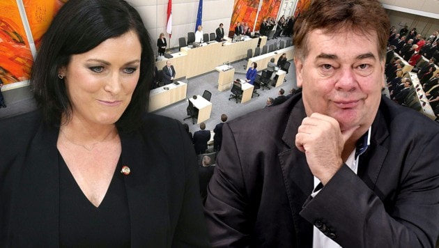 Nationalratspräsidentin Elisabeth Köstinger (ÖVP) und Grünen-Chef Werner Kogler (Bild: APA, krone.at-Grafik)