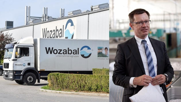 Die von Christian Wozabal angestrebte Sanierung der Unternehmensgruppe ist gescheitert. (Bild: Harald Dostal, Wozabal)