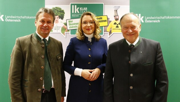 Franz Titschenbacher, Expertin Claudia Kemfert und Hermann Schultes (von links). (Bild: LWK/Erwin Scheriau)