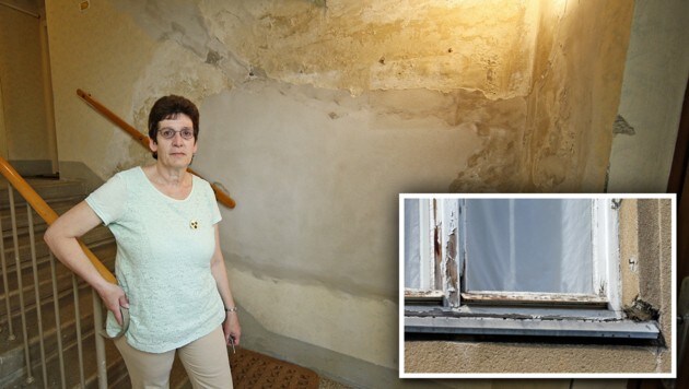 Die Wände feucht, die Fenster kaputt: Frau L.  und andere Mieter warten seit Jahren auf Sanierung. (Bild: Reinhard Holl, krone.at-Grafik)