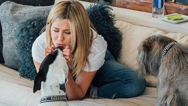 Jennifer Aniston mit ihren Hunden (Bild: Instagram.com/Jennifer Aniston)