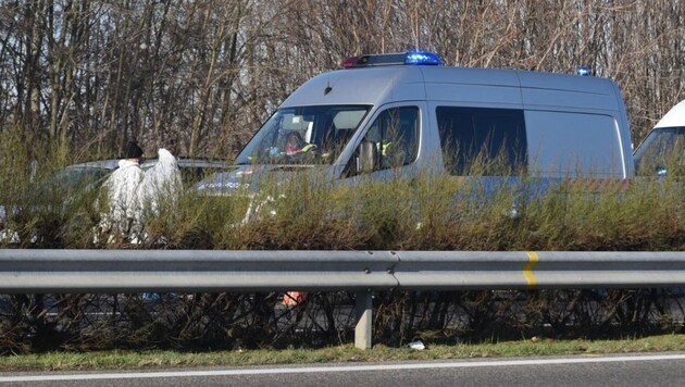 Auf einem Parkplatz neben der ungarischen Südautobahn M5 fielen am Dienstag die tödlichen Schüsse. (Bild: delmagyar.hu)