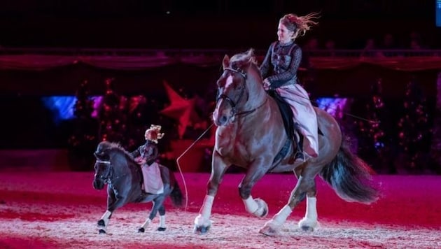 Mélie Philippot dirigiert neben dem Pferd auf dem sie sitzt, auch Pony mit Puppenreiterin. (Bild: Michael Graf - Facebook: MIKEs F)