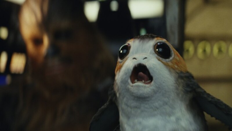 Chewbacca (li.) scheint in diesem Porg einen neuen Begleiter gefunden zu haben. (Bild: Lucasfilm)