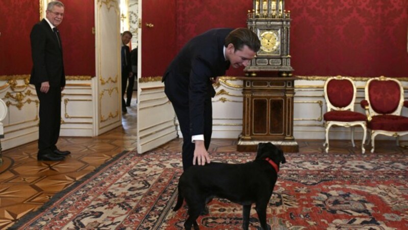 Kurz streichelt Van der Bellens Hund "Kita". (Bild: APA/HANS PUNZ)