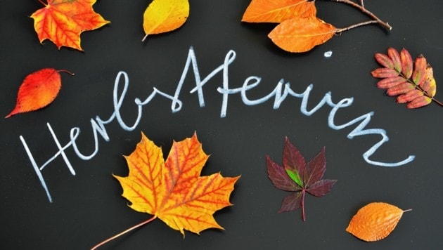 Heiß umstritten und jetzt verordnet; die Herbstferien. (Bild: stock.adobe.com)