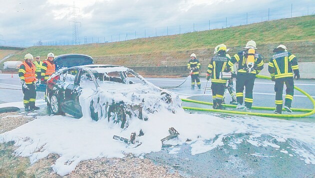 Drei Feuerwehren löschten den brennenden BMW, den Totalschaden konnten sie nicht verhindern. (Bild: FF Walchshausen)