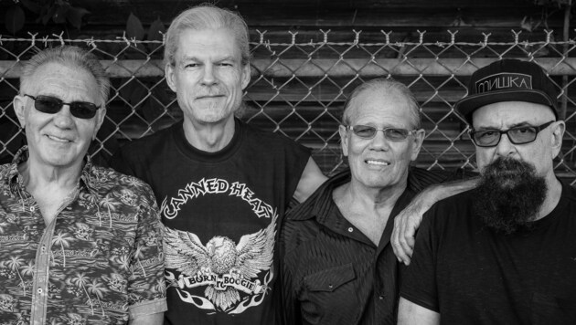 Canned Heat anno 2017: Fito de la Parra, John Paulus, Dale Spalding und Larry Taylor (v.l.n.r) (Bild: Canned Heat)