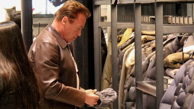 Arnold Schwarzenegger beim Weihnachts-Shopping (Bild: www.PPS.at)