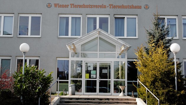 Wiener Tierschutzhaus (Bild: Klemens Groh)