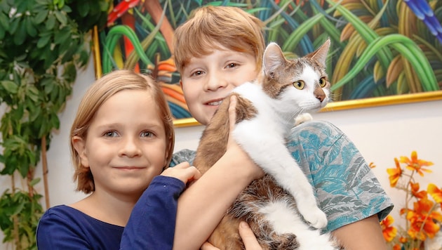 Die ausgesetzten Katzen fanden eine Familie - Anna (6) und Moritz (9)! (Bild: Markus Tschepp)
