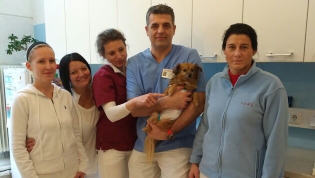 Das Team der Tierklinik Keller mit Patientin "Daisy" (Bild: Heidi Neuherz)