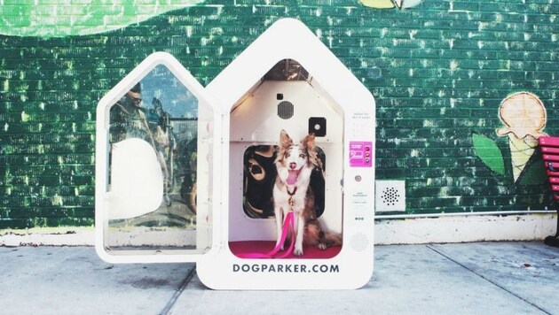 Das Start Up aus New York soll Hundebesitzern ihre Erledigungen erleichtern. (Bild: dogparker.com)
