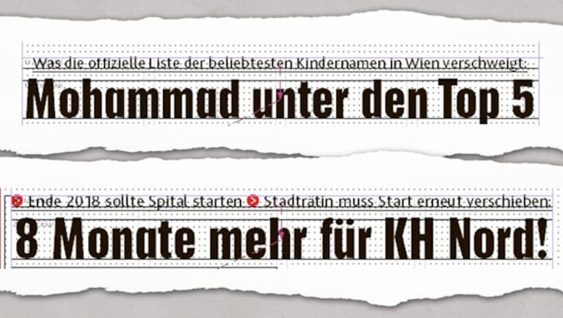 (Bild: Kronen Zeitung)