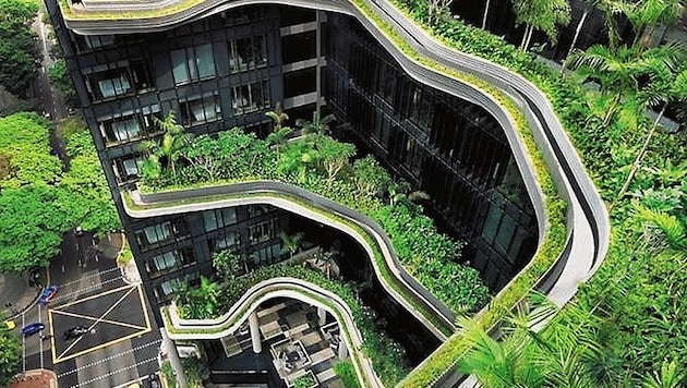 „Urwald“ auf Balkonen in Singapur. Wäre das auch in Wien möglich? (Bild: Erwin Rath)