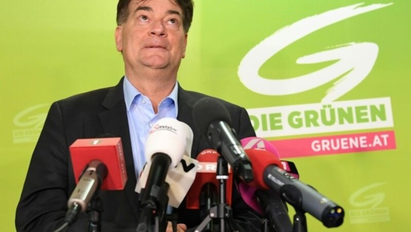 Der grüne Bundessprecher Werner Kogler (Bild: APA/HELMUT FOHRINGER)