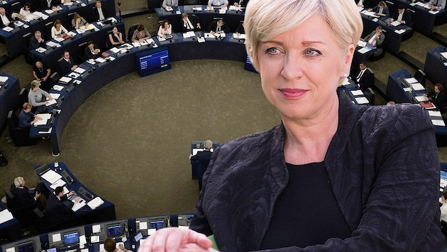 Die slowenische EU-Parlamentarierin Romana Tomc (Bild: Facebook, AFP, krone.at-Grafik)