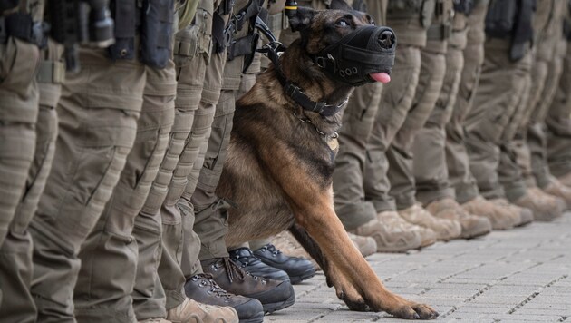 Beamte des Sondereinsatzkommandos mit einem Diensthund (Bild: APA/dpa/Boris Roessler)